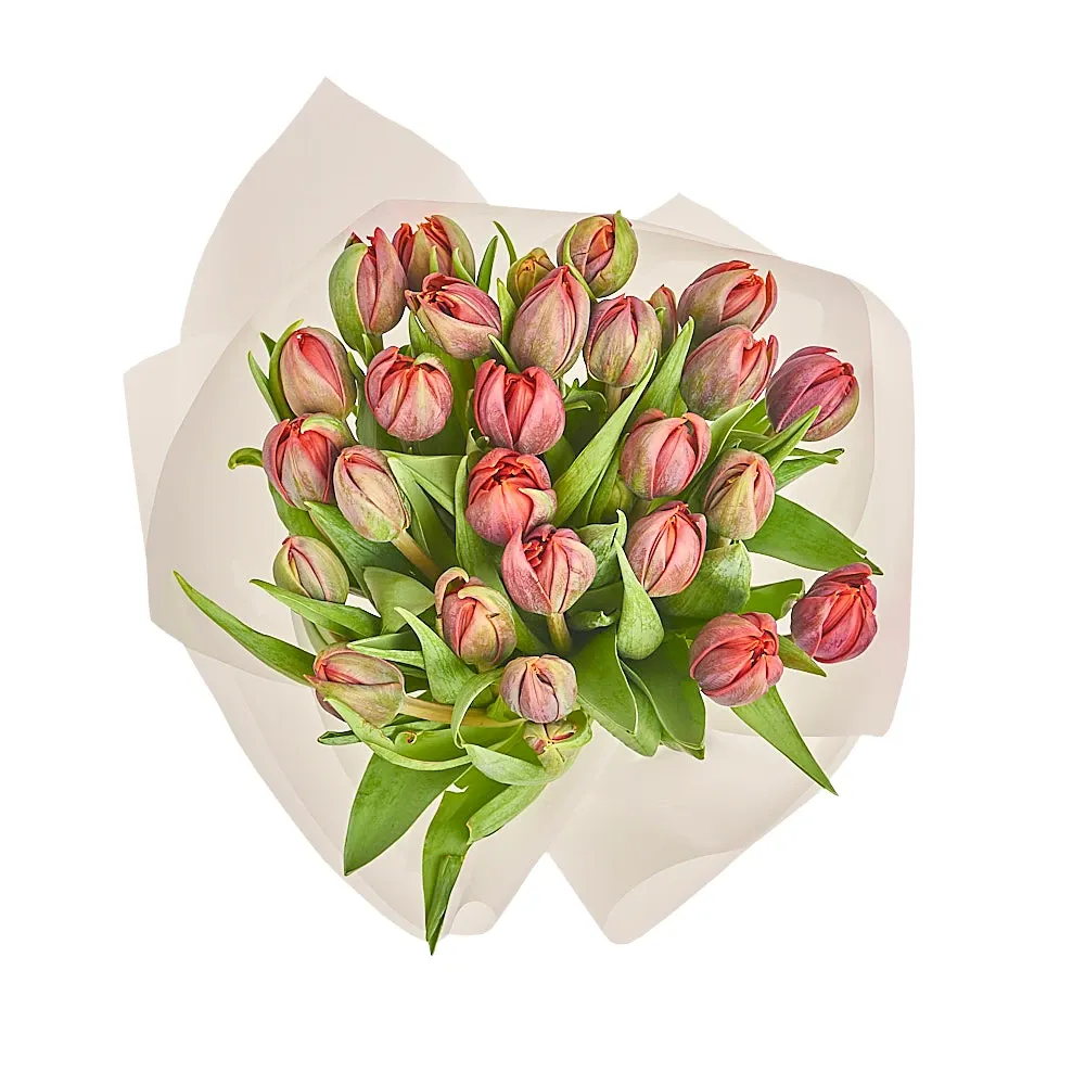 Букет из 25 пионовидных красных тюльпанов