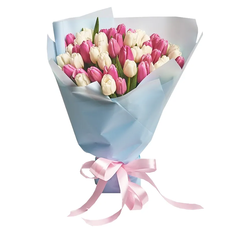 Букет из 51 белого-розового тюльпана