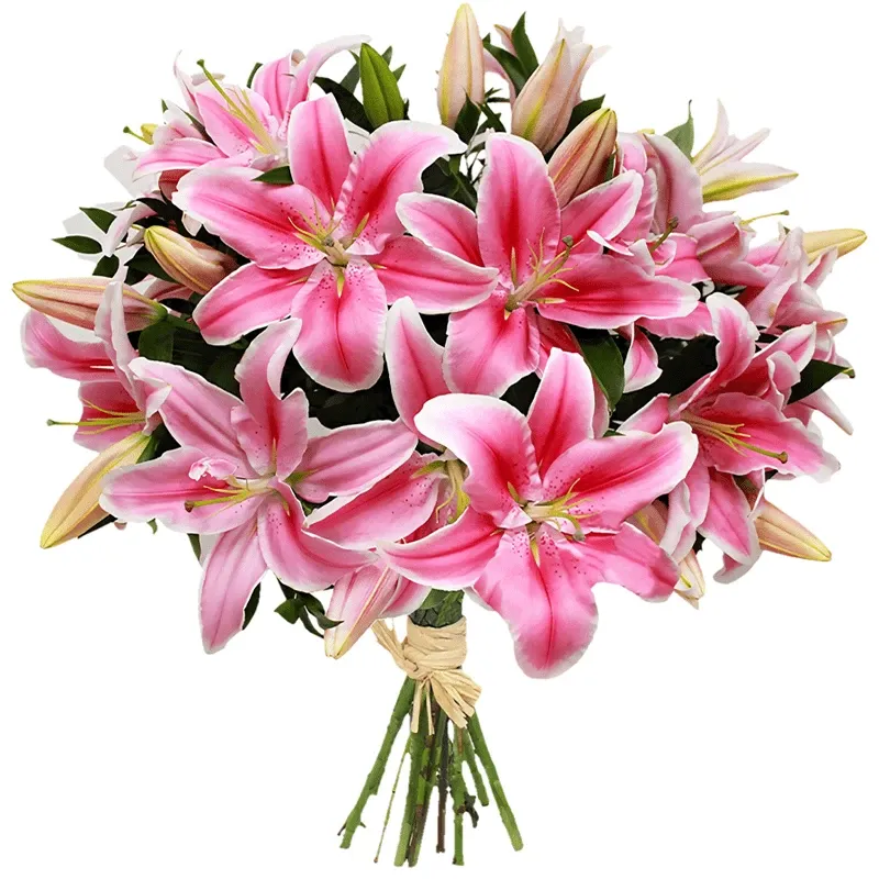 Жапондық массаж порно